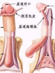 淋病处理