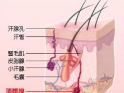 臭汗症