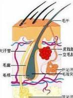 臭汗症