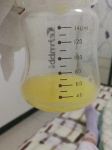 初乳