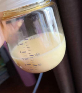 初乳