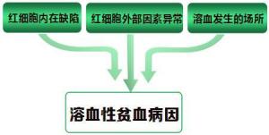 溶血性贫血