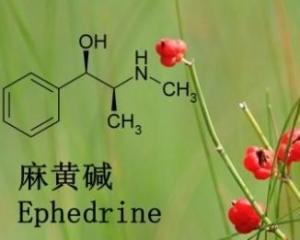 麻黄碱