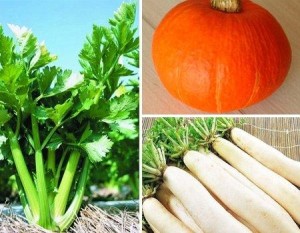 蔬菜