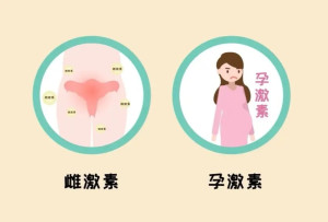 孕激素