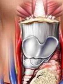 甲状腺