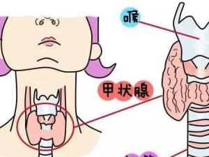 甲状腺