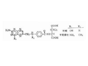 甲氨蝶呤分子式