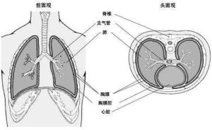 胸腔积液