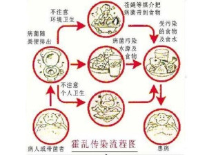 霍乱