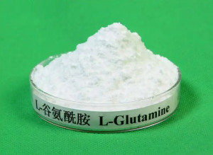 谷氨酰胺