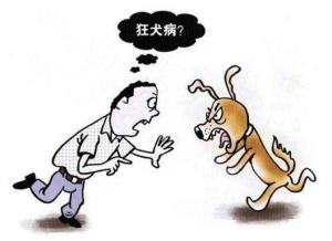 狂犬病