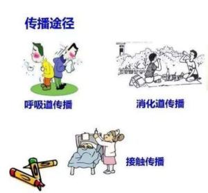 流感传播途径