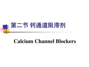 钙通道阻滞剂