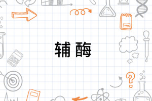 辅酶