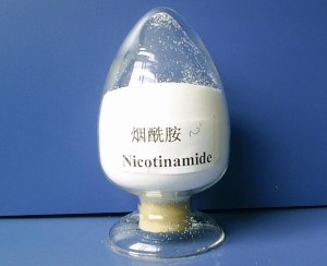 辅酶