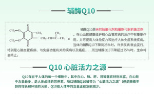 辅酶