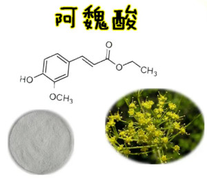 阿魏酸