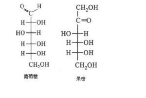 C6H12O6