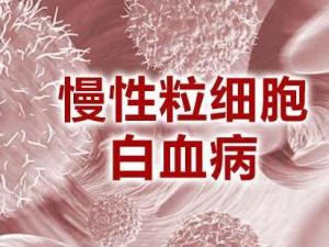 慢性粒细胞白血病