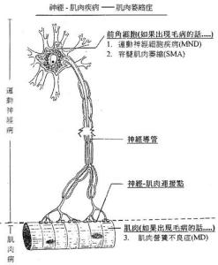病理细胞