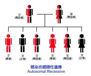 遗传图谱