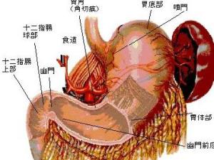 萎缩性胃炎