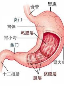 萎缩性胃炎
