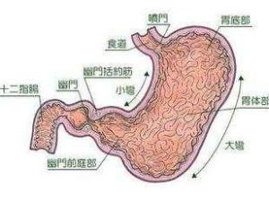 萎缩性胃炎