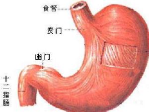 萎缩性胃炎