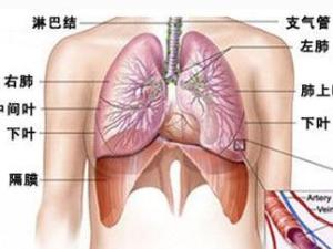 支气管炎