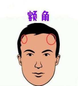 额角