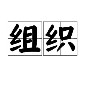 组织
