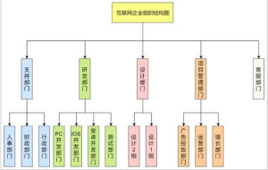 组织