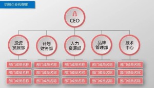 组织