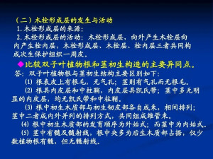 外始式