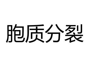 胞质分裂