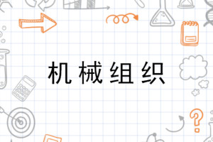 机械组织