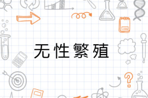 无性繁殖