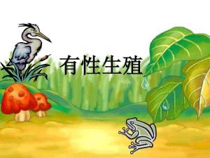 有性繁殖