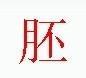 宋体“胚”字