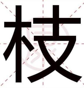 枝