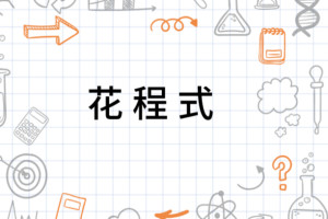 花程式