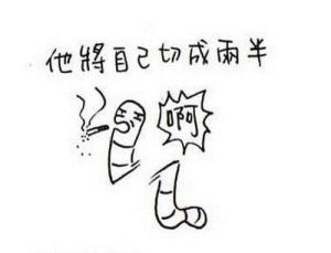 再生能力图册