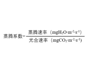 蒸腾系数