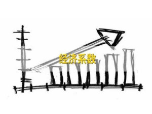 经济系数