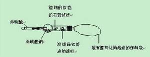 SO2漂白实验