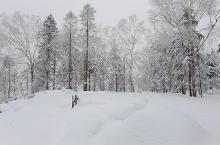 大美黑龙江--林海雪原