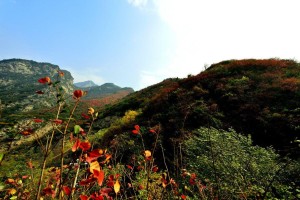 少华山