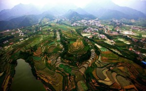 凤堰古梯田